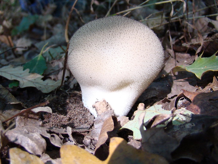 Escursione nel Parco nazionale del Circeo